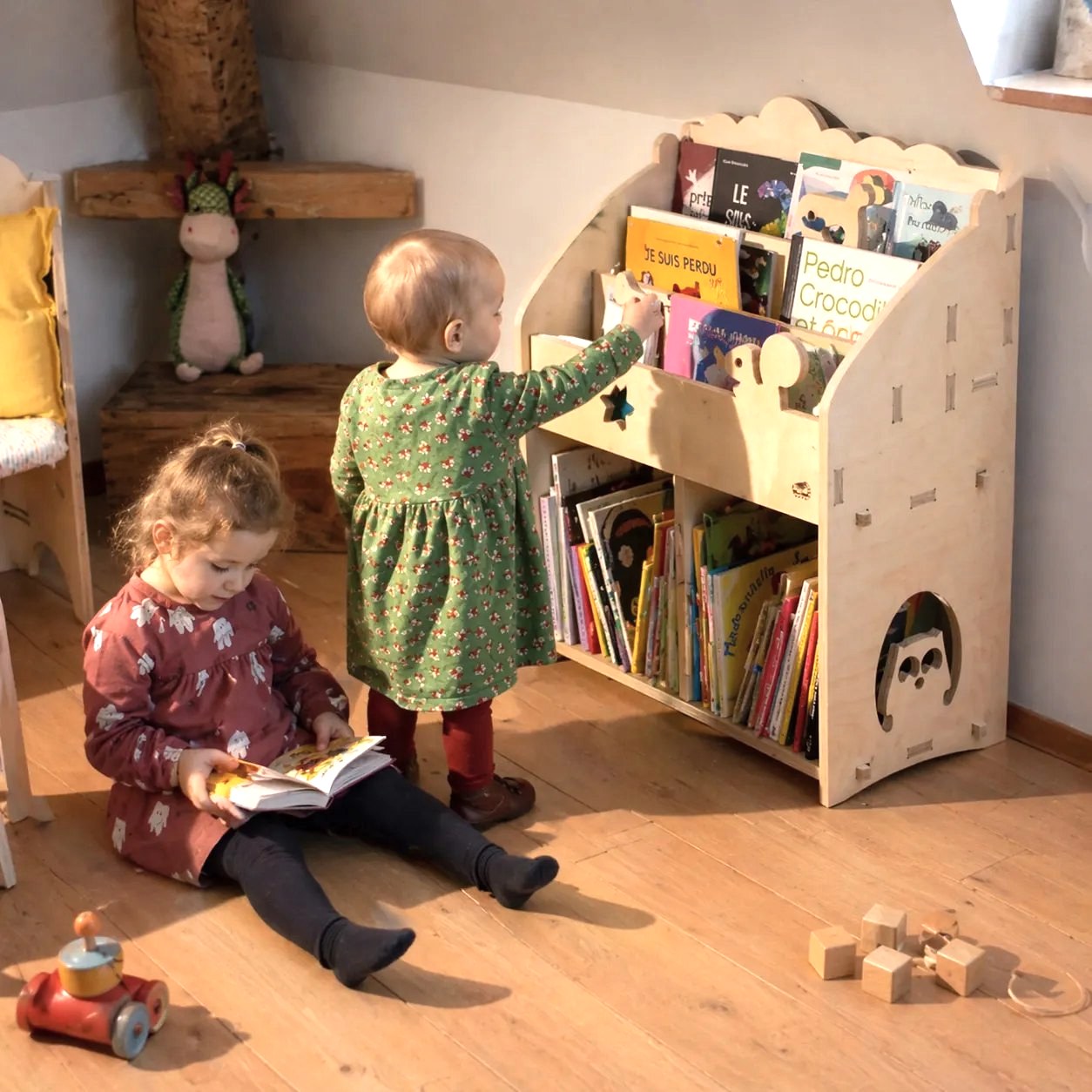 Rangements & bibliothèques