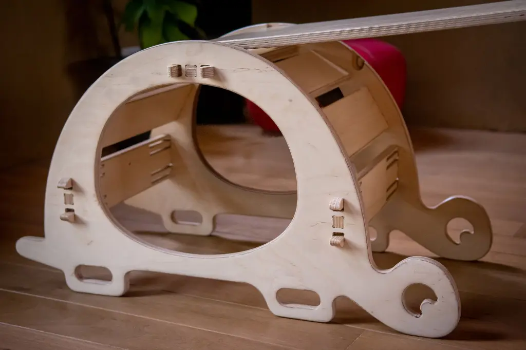 Elysta.be - Elypik_Tortue même coté.webp