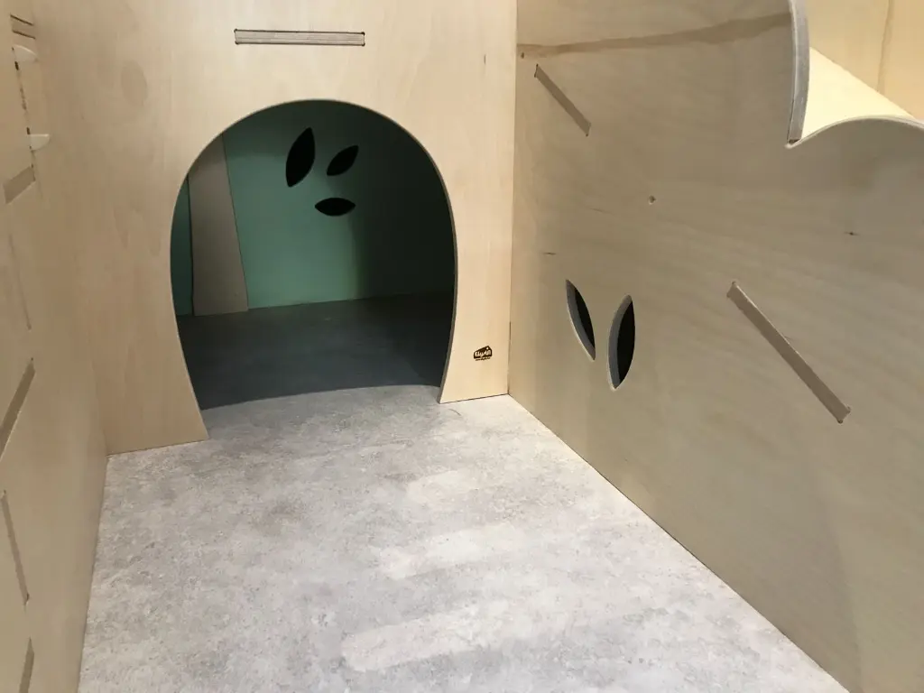 Module de Psychomotricité9.webp